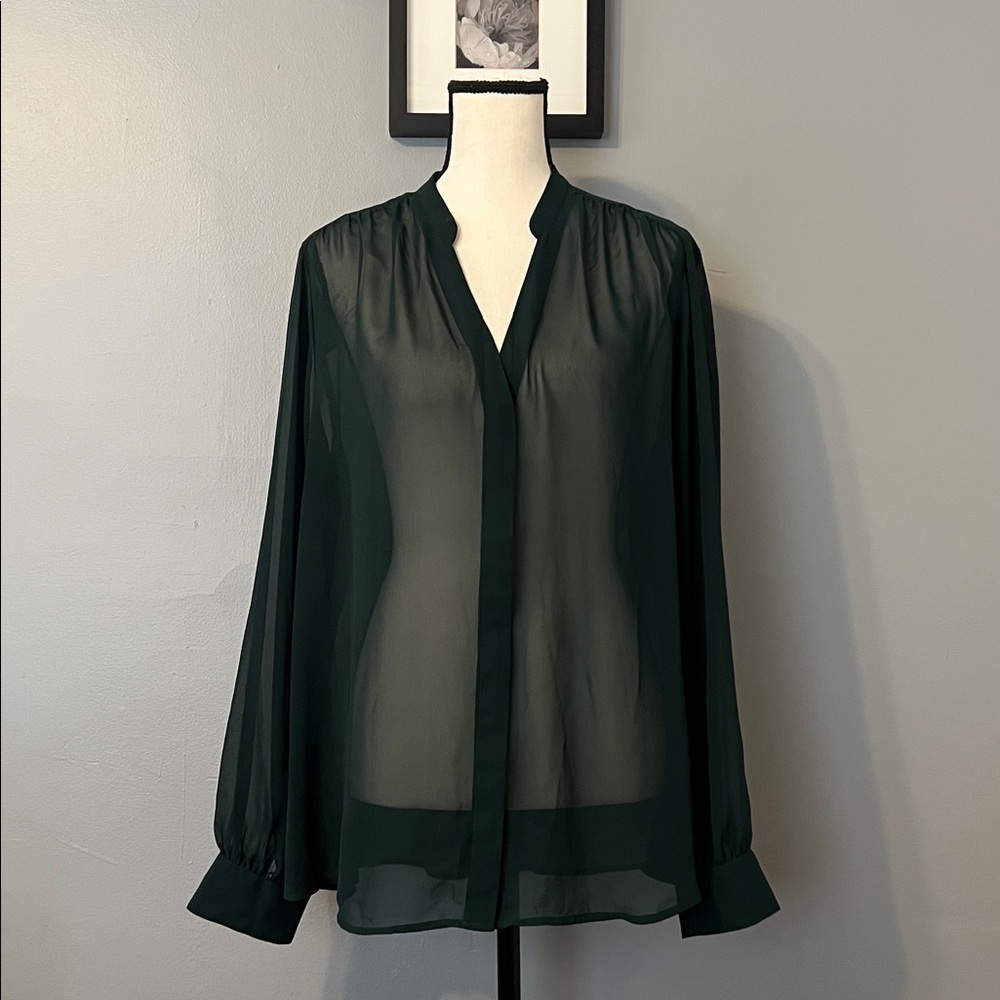 Express Forest Green Sheer Blouse